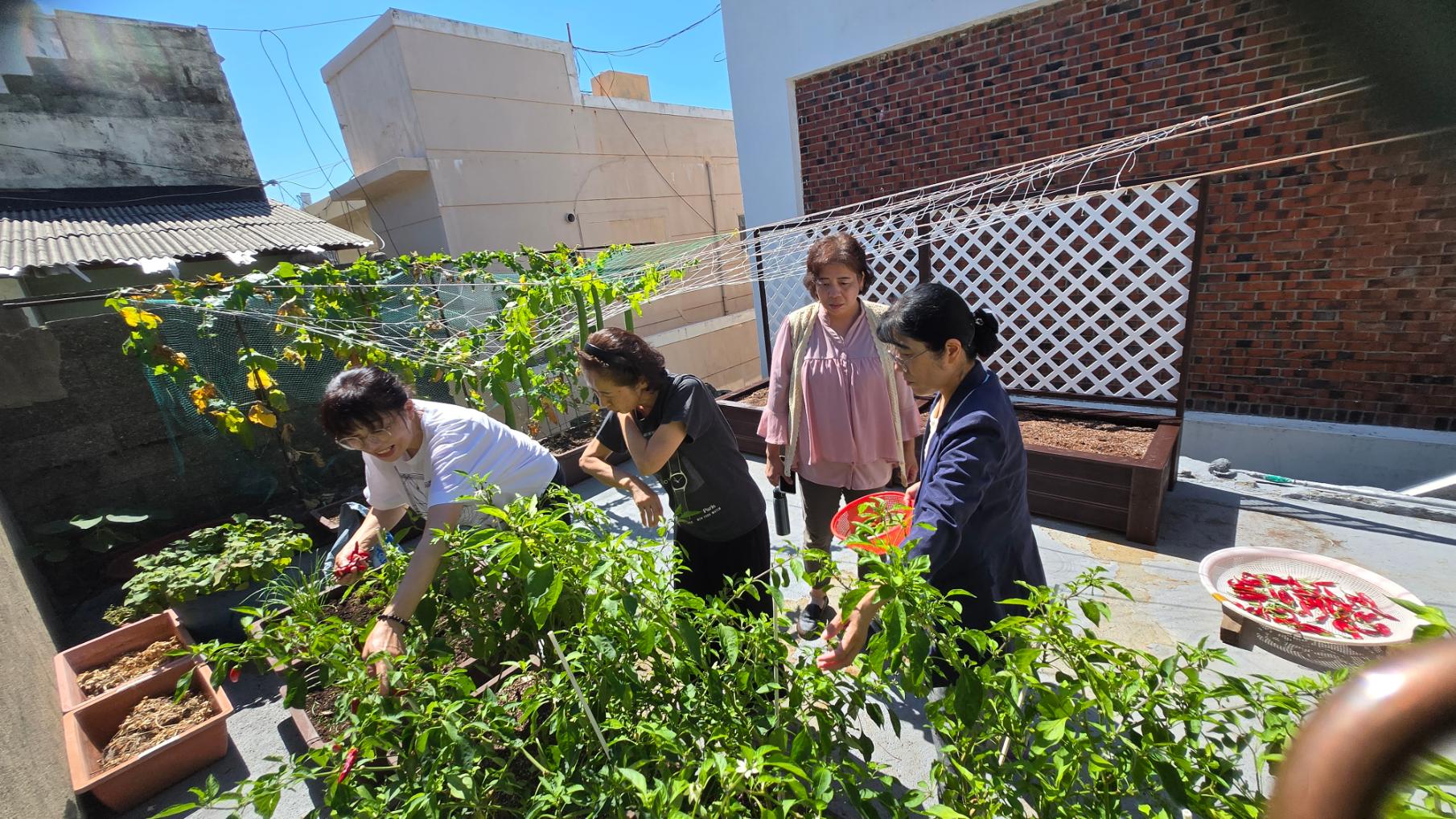 KakaoTalk_20261010_180743779_07