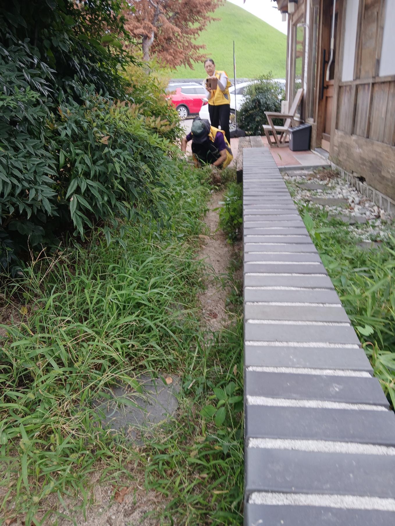 KakaoTalk_20260910_080253005_08