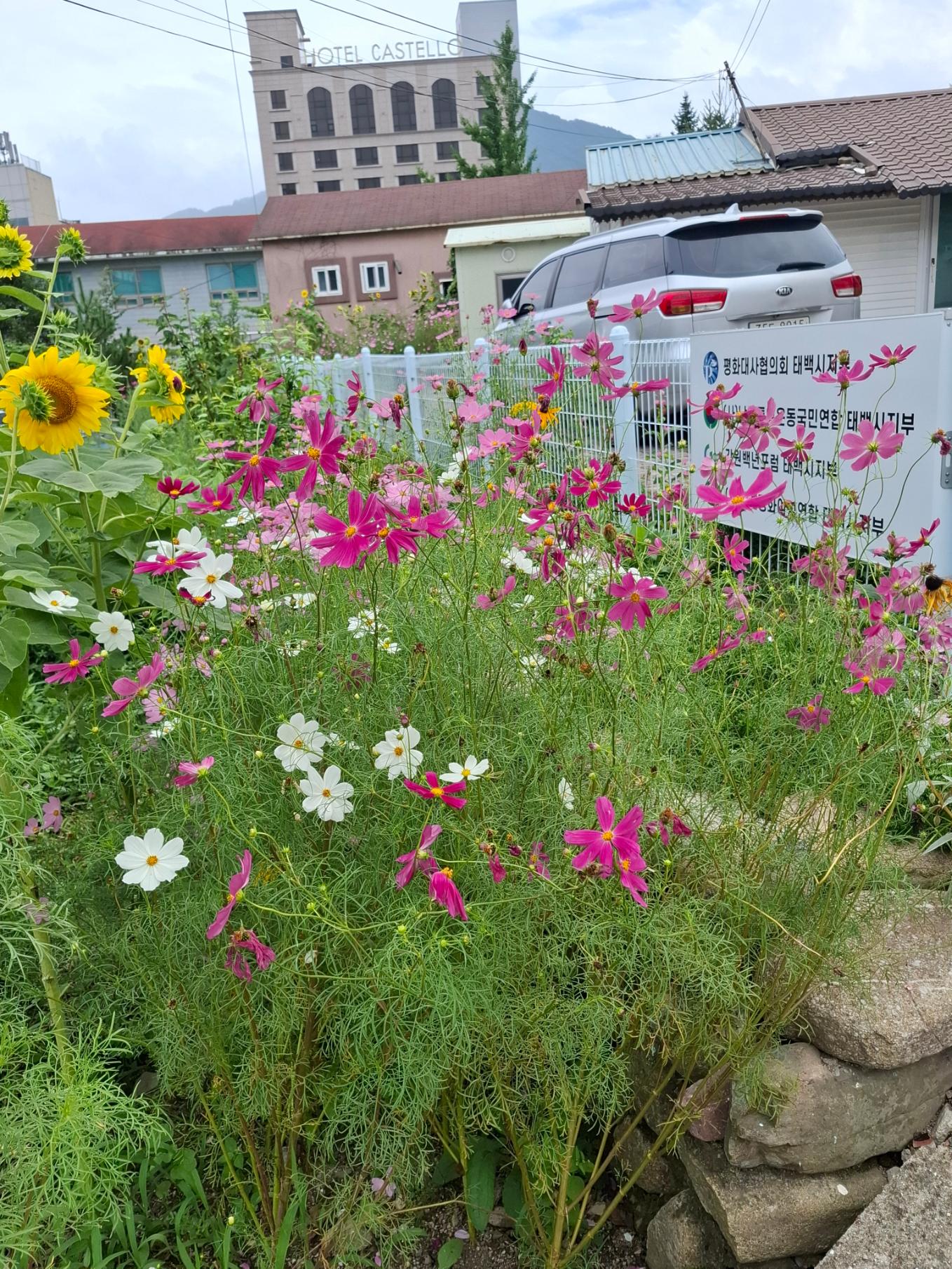 KakaoTalk_20260903_140830386_01