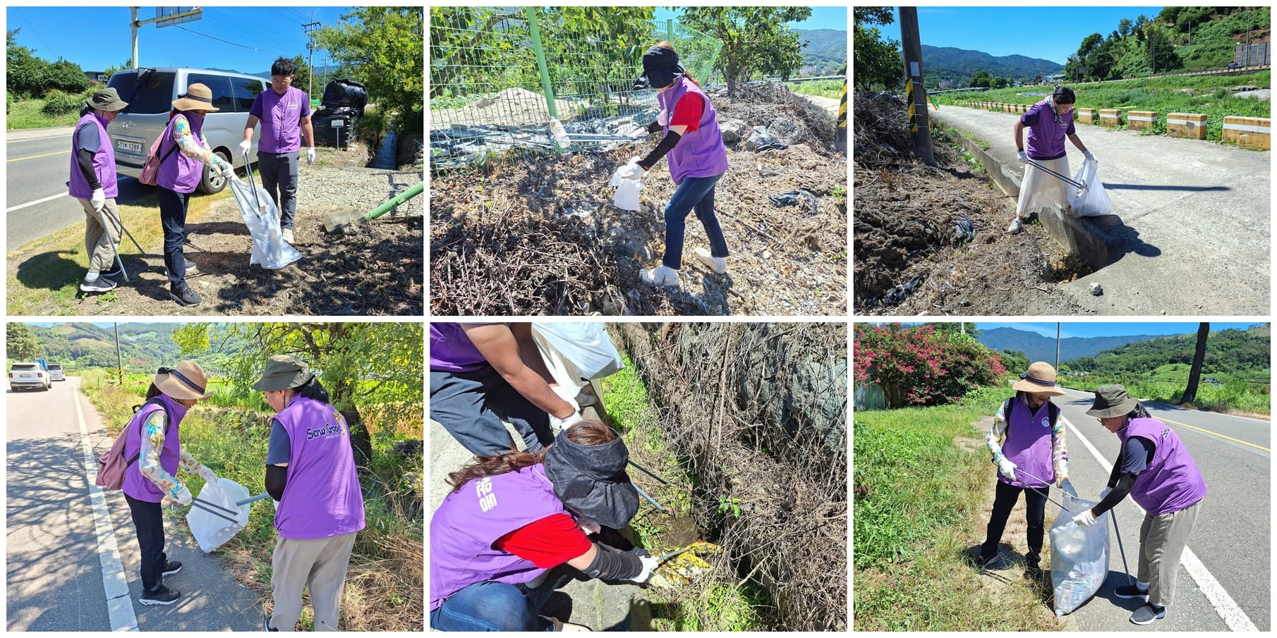 gwangyang_cleanup_collage_3x2_landscape